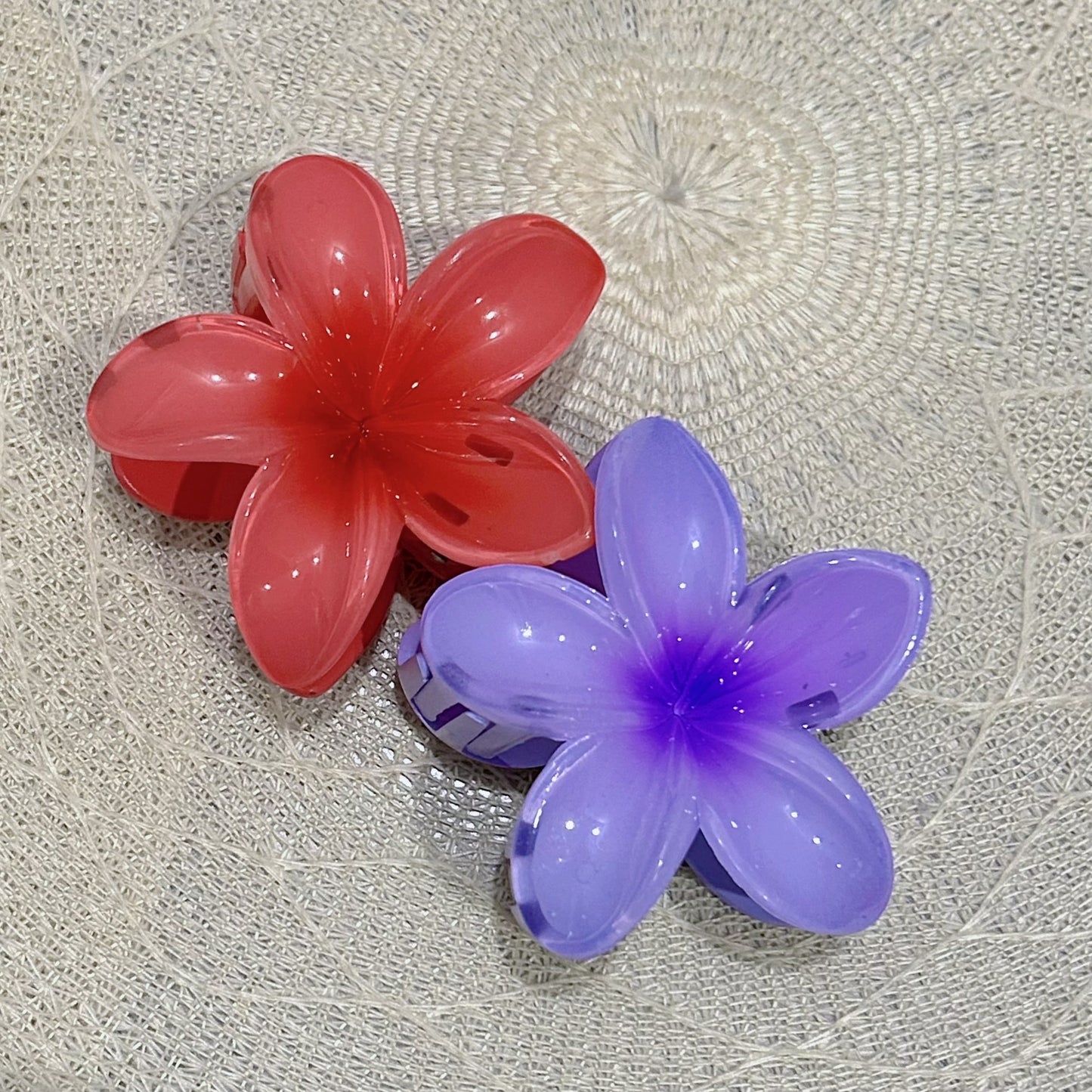 Hawaii hair clips (Set of 2)