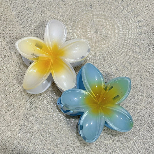 Hawaii hair clips (Set of 2)