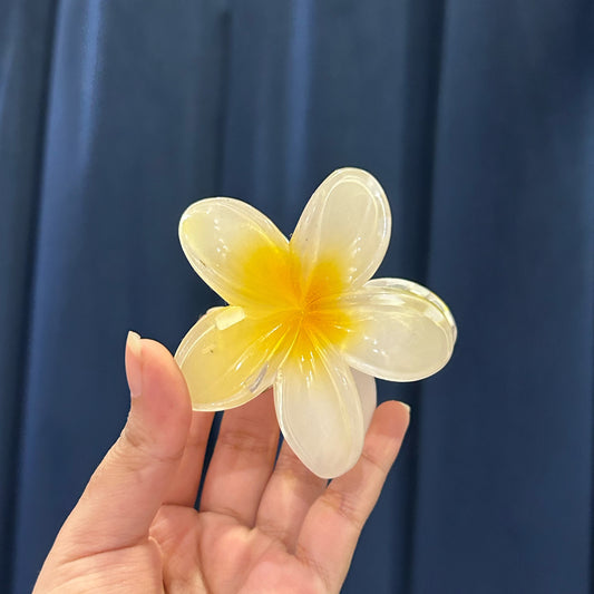 Hawaii hair clip