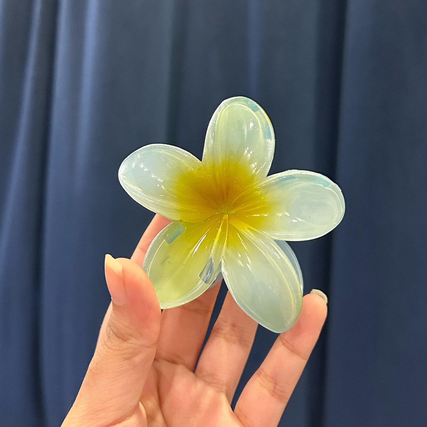 Hawaii hair clip